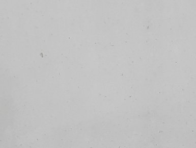 2023_portrait_leer