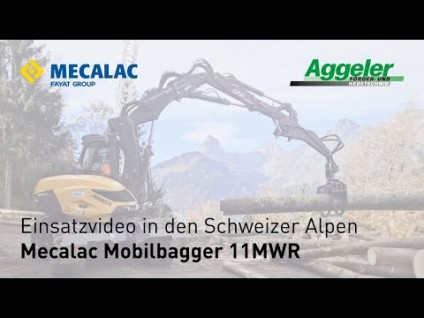 Einsatzvideo in den Schweizer Alpen