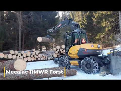 mit Rückewagen/Rückeanhänger und Forst-Seilwinde